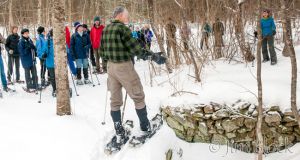 19   DP981--Alcott-at-old-cellar-hole--Pan-(4).jpg